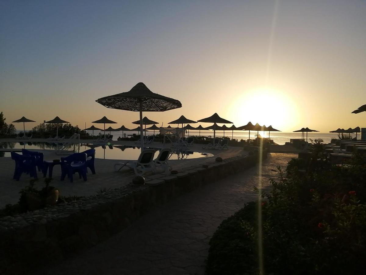 Silver Beach Boutique Hotel (Adults Only) El Qoseir Екстериор снимка