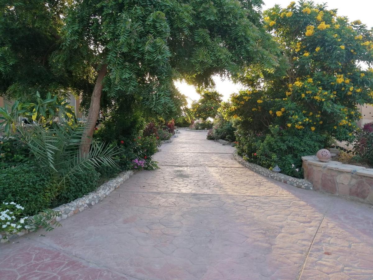 Silver Beach Boutique Hotel (Adults Only) El Qoseir Екстериор снимка