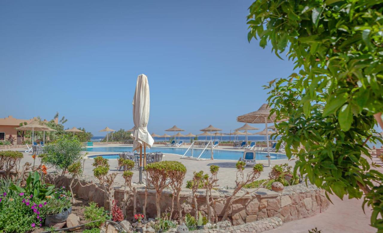 Silver Beach Boutique Hotel (Adults Only) El Qoseir Екстериор снимка