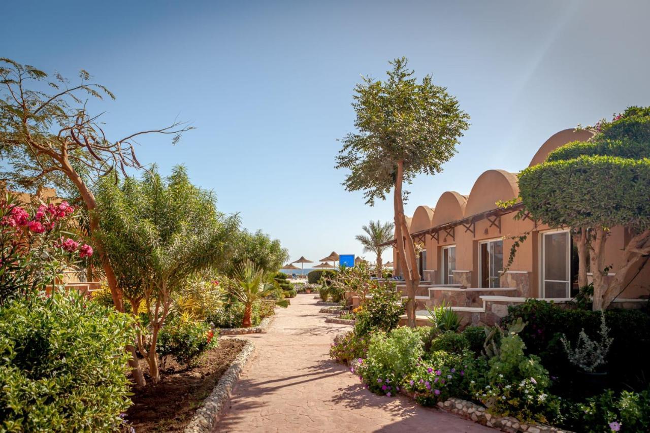 Silver Beach Boutique Hotel (Adults Only) El Qoseir Екстериор снимка