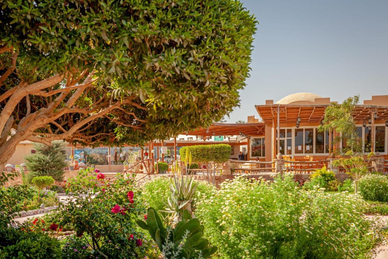 Silver Beach Boutique Hotel (Adults Only) El Qoseir Екстериор снимка