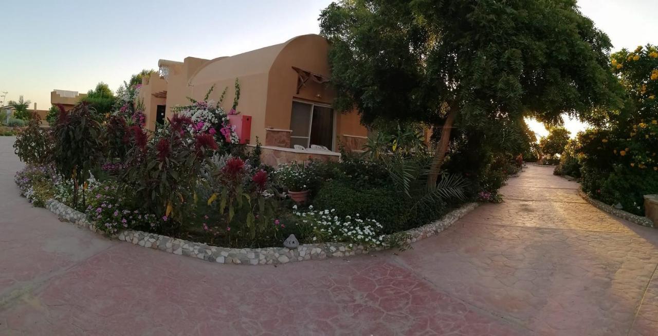 Silver Beach Boutique Hotel (Adults Only) El Qoseir Екстериор снимка